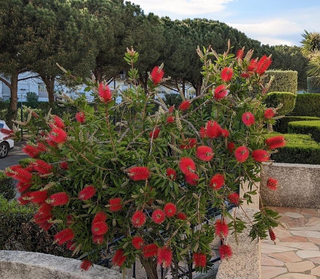 סן סיפריאן Standing T3Bis Presqu'Ile De La Lagune - Piscine - Mer & Nature מראה חיצוני תמונה
