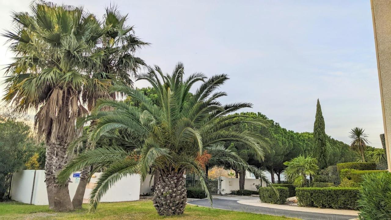 סן סיפריאן Standing T3Bis Presqu'Ile De La Lagune - Piscine - Mer & Nature מראה חיצוני תמונה